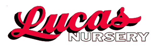 Lucas Nursery and Landscaping